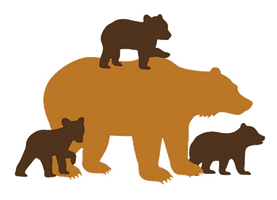 Papa Bear and Sons Property Services